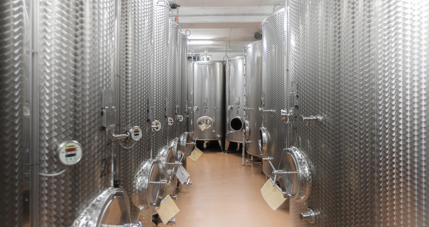 Das VollGute Weingut mit Vinothek in Kirrweiler in der Pfalz